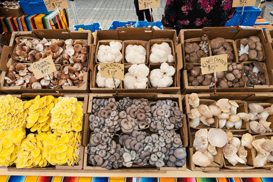 Mushrooms for Sale at Farmer's Market