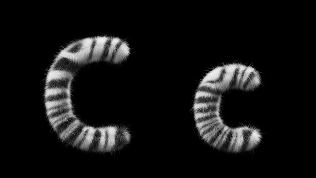 3D animation of a uppercase and lowercase woolen letter C. Wool in the style of the Zebra animal. The file contains an Alpha Channel. ProRes4 RGBA