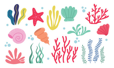 Fototapeta na wymiar Collection of seaweeds, underwater sea plants, shells.