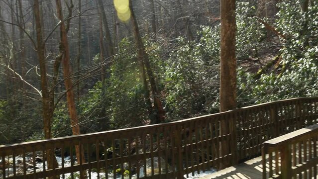 footage of the rushing waters of Smith Creek with rocks and lush green trees and plants at Anna Ruby Falls in Helen Georgia USA