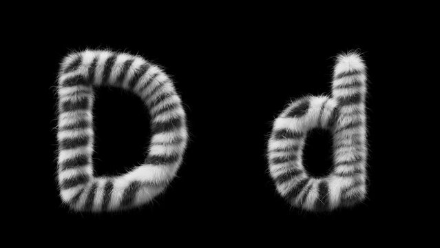 3D animation of a uppercase and lowercase woolen letter D. Wool in the style of the Zebra animal. The file contains an Alpha Channel. ProRes4 RGBA
