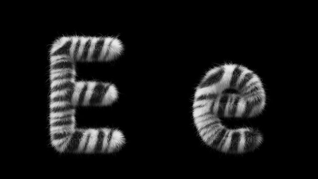 3D animation of a uppercase and lowercase woolen letter E. Wool in the style of the Zebra animal. The file contains an Alpha Channel. ProRes4 RGBA
