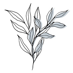 vector composition with leaves and branch. Elegant art for decoration. ink hand drawing botanical illustration for backgrounds. Template for wedding cards, polygraph, logo, tattoo