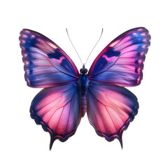butterfly isolated on transparent background generative ai
