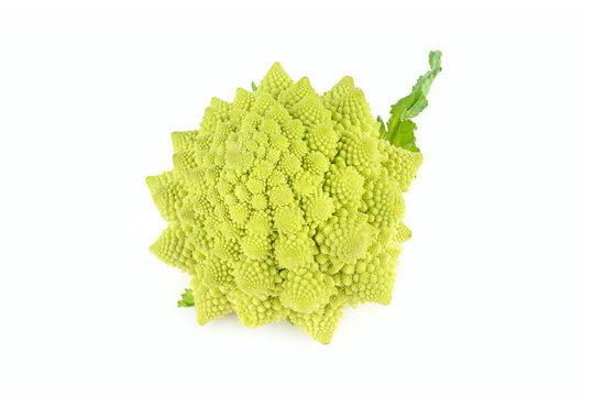 Broccoli romanesco isolated on white.