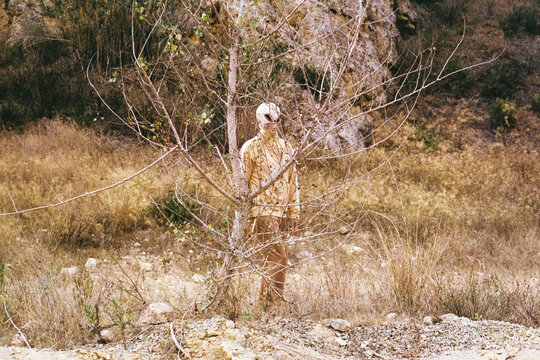 an alien is hiding behind a tree, 35mm