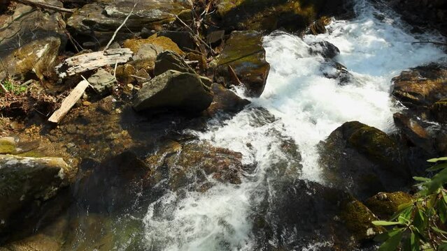 slow motion footage of the rushing waters of Smith Creek with rocks and lush green trees and plants at Anna Ruby Falls in Helen Georgia USA
