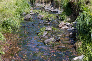 water flowing in a small narrow stream in summer