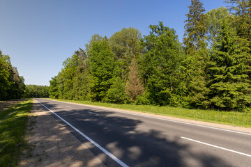 highway in the forest in the summer season