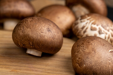 fresh brown mushrooms for cooking, edible