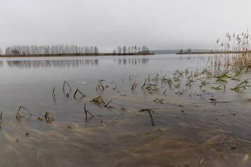 Naklejka premium frozen lake in winter in cloudy weather, ice on the lake ts