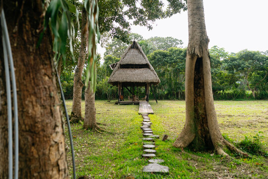 Rustic Path to Wooden Cabin