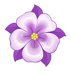 La flor de Columbine, flor morada con blanco