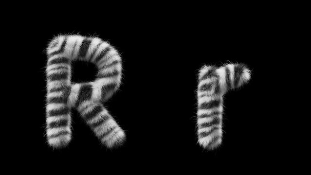 3D animation of a uppercase and lowercase woolen letter R. Wool in the style of the Zebra animal. The file contains an Alpha Channel. ProRes4 RGBA