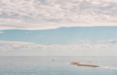 Beautiful landscape with lake, cloudy blue sky and standing egret