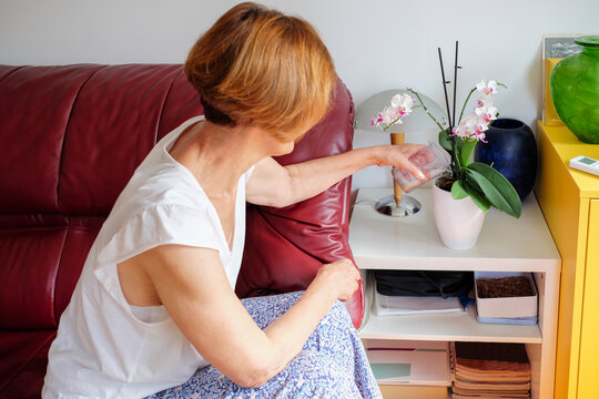 Woman taking care of her orchid plant at home 