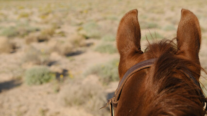 Horseback riding on sorrel gelding  through New Mexico desert point of view, copy space on background. - 753885596