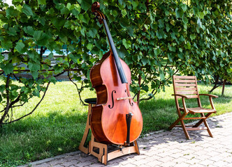 Double bass exhibited in the yard of a luthier artist.