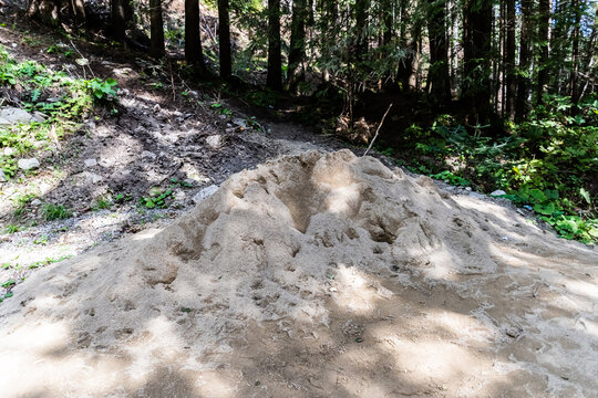 The pile of sand at the edge of a forest.