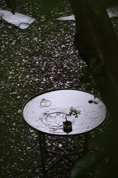 Rain falls on iron table in rainy day, in Chinese courtyard