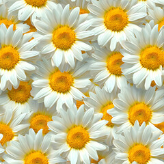 Fototapeta premium A Lot Of White Yellow Daisies or chamomile flowers - for full-frame background and seamless texture. Neural network generated image. Not based on any actual scene or pattern.