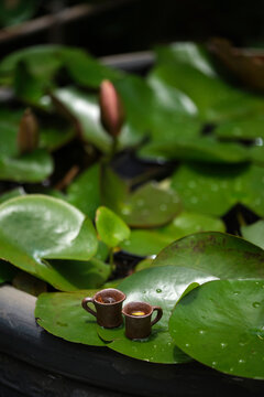 Closeup extra tiny mini ceramic mug on a lotus leaf outdoors