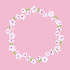 Spring floral wreath of cherry blossom on pink background. Vector template design for banner, poster, card. Modern floral frame