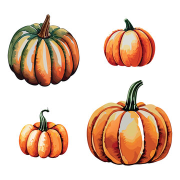 Pumpkins collection vector illustration. Pumpkins in watercolor style
