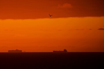 Frachtschiff bei Sonnenaufgang