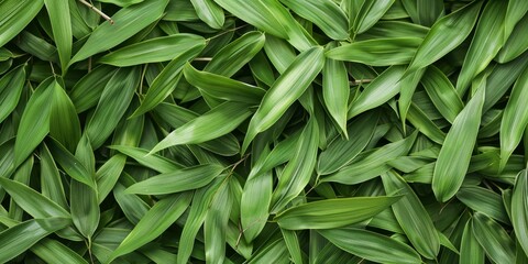 A close up of green leaves with a lot of detail
