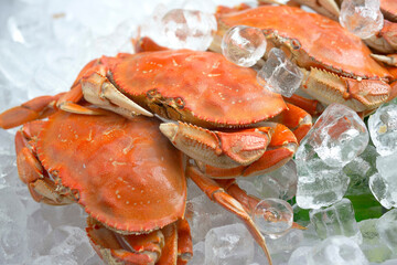 Culinary Elegance: 4K Ultra HD Image of Cooked Crab on Bed of Ice