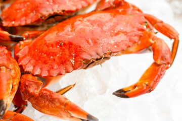 Culinary Elegance: 4K Ultra HD Image of Cooked Crab on Bed of Ice