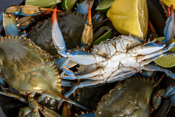 Culinary Harmony: 4K Ultra HD Image of Close-Up of Fresh Blue Crab with Vegetables