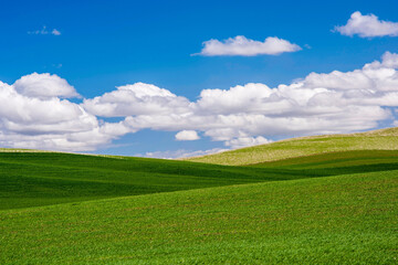 Golden Harvest: 4K Ultra HD Image of Sunset over Idyllic Farmland Landscape with Wheat Field