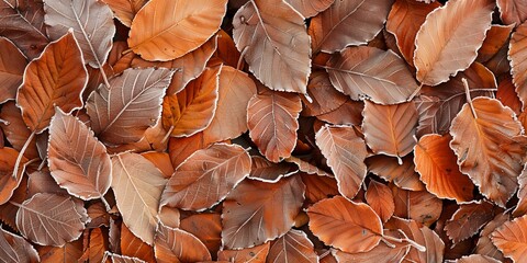 A close up of a pile of brown leaves with some frost on them - Powered by Adobe