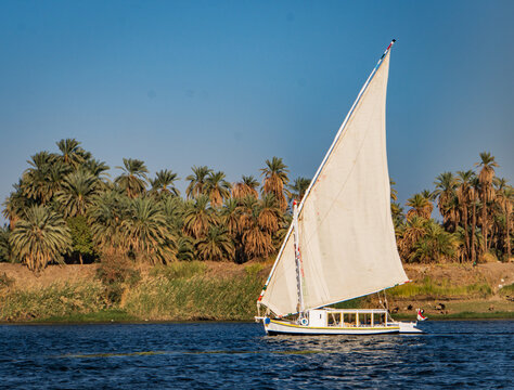 felucca sailboat along the Nile river  with it's iconic white triangular, lateen, sail 
