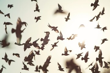 flock of birds fly together in the air - obrazy, fototapety, plakaty