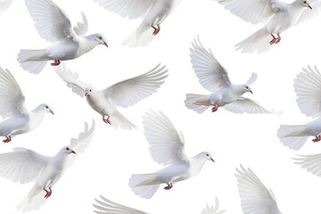 pattern of white doves in flight over a white background