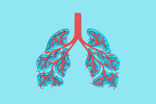 Human lungs with infected bronchi made of colored paper
