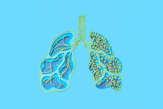 Papercraft structure of human lungs with affected one part