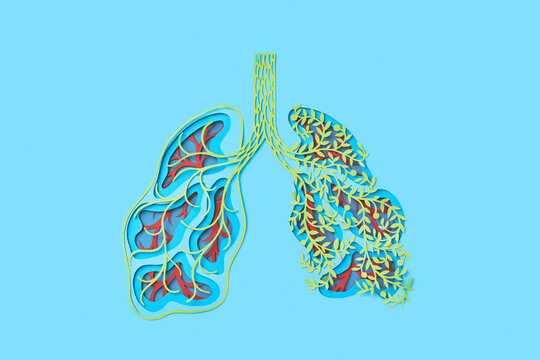 Human lungs cut out of colored paper with affected one part