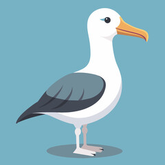 Albatross Vector Art Illustration 