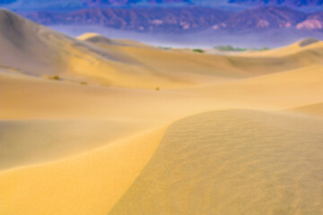 Fototapeta na wymiar Afternoon Glow: 4K Ultra HD Image of Sand Dune with Afternoon Light