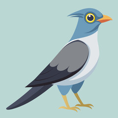 Cuckoo Vector Art Illustration