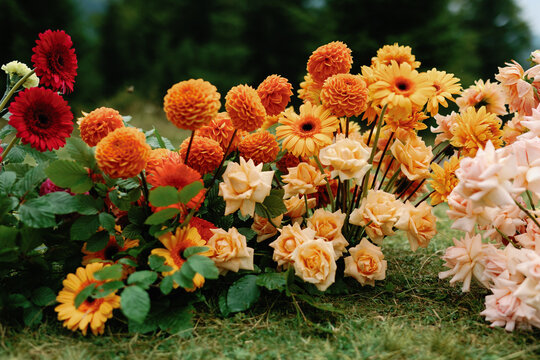 Landscaping floristry blooming decorative garden botanical natural - Powered by Adobe