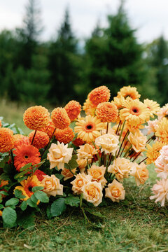 Flowerbed floristry flower design decorative nature grassland 