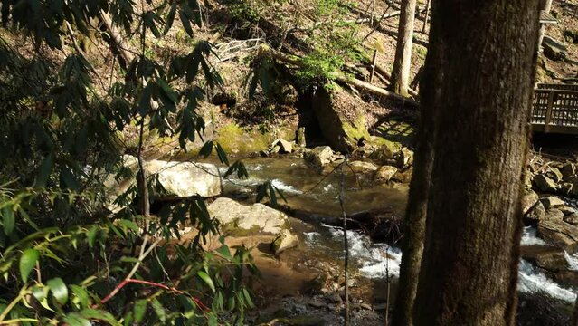slow motion footage of the rushing waters of Smith Creek with rocks and lush green trees and plants at Anna Ruby Falls in Helen Georgia USA