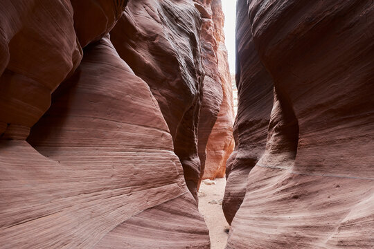 The undulating rock formations of Bulkskin Gulch