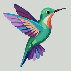 Hummingbird Vector Art Illustration