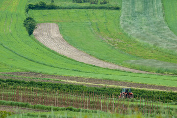Spring farmland in the hills. Roztocze. Poland. Field work in herbal fields.